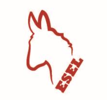  Logo Esel 