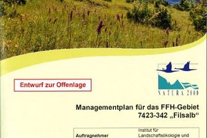 Managementplan für das FFH-Gebiet 7423-342 "Filsalb"
